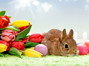 Celebrate Easter at Fort Edmonton Park.