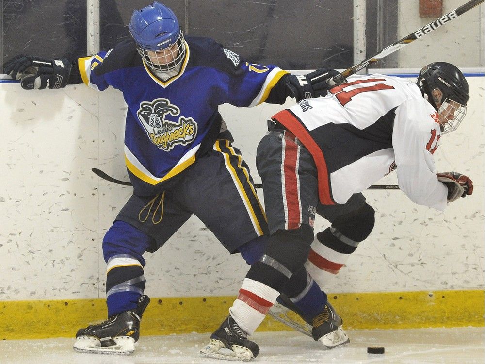 Hockey Edmonton Bans Body Checking In Lower Levels Of Minor Hockey Edmonton Journal 0226