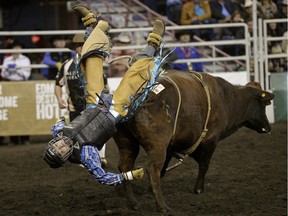 Justin Maguire of Siksika gets thrown in the Boys Steer Riding event at the 2015 Canadian Finals Rodeo on Nov. 14, 2015.