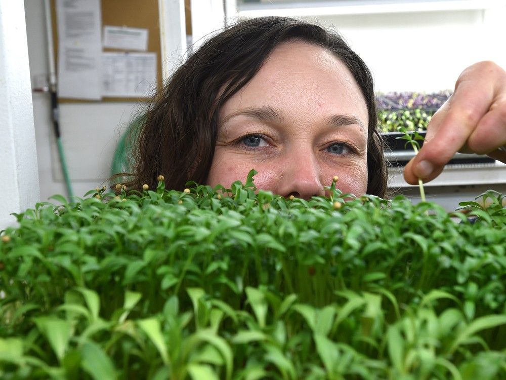 Healthy food classes sprouting at Earth's General Store on Whyte Ave