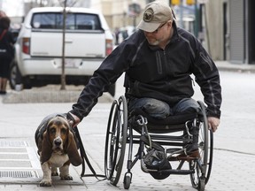 Paul Franklin takes his Basset hound Achilles for a walk along Rice Howard Way in Edmonton on Wednesday, April 13, 2016.