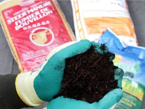 'Professional' potting soil might be recommended, but don't simply believe the label. A little research can help determine the right soil for your garden containers.