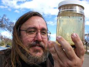 Mike Jenkins, City of Edmonton biological sciences technician, examines a jar of mosquito larvae. He's predicting a mild winter and dry spring will result in a light mosquito season.