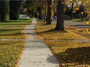 This sidewalk curves to avoid the trees on the right. That's one way neighbourhood renewal attempts to preserve trees during construction.