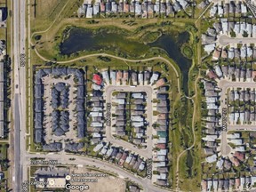 This Silverberry storm water pond is causing algae blooms and odour issues.