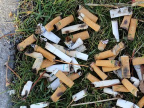 Watch your lit cigarette disposal in this tinder dry weather, advises letter writer.