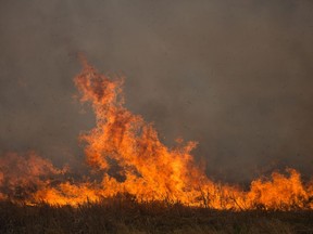 Alexis Nakota Sioux Nation, northwest of Edmonton, is being threatened by a serious wildfire.