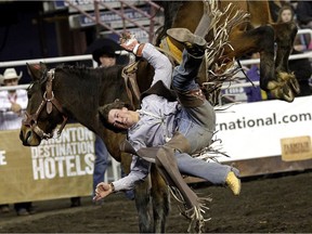 Tanner Young from Ponoka, Alberta gets bucked off in the Novice Bareback event at the 2015 Canadian Finals Rodeo in Edmonton on Friday November 13, 2015.