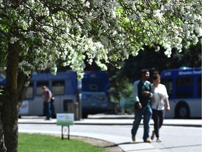 Edmonton could break a 50 year old temperature record on Tuesday.