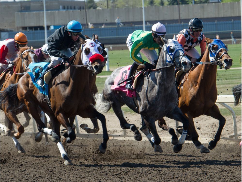 Racing Club - Horse Ownership in Alberta