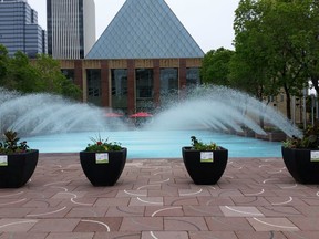 Planters created by Edmonton city councillors Mohinder Banga, Tony Caterina, Scott McKeen and Mike Nickel sit in Churchill Square, marking the start of the 2016 Front Yards In Bloom program.