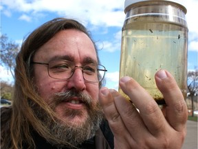 Mike Jenkins, City of Edmonton biological sciences technician, examines a jar of mosquito larvae.