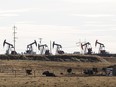 Cattle and pump jacks are seen from the Wedman farm in Leduc County on Tuesday, March 29, 2016.
