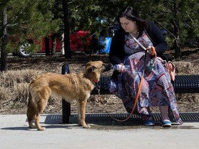 Wildfire evacuee Melissa Broughton gives a drink of water to her sister's dog Bailey at the evacuation centre at the Edmonton Expo Centre.