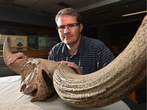 Duane Froese, a researcher at the University of Alberta, who used bison fossils to find out more about the impact of the ice-free corridor during the Quaternary Period in Edmonton, June 6, 2016. This fossil is 20,000 years old and was found in the Yukon.