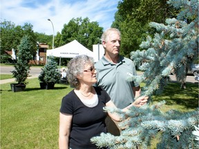 Ellie Shuster, of the vegetation management community task force, and Dan Carter, of Kinder Morgan, examine trees to be chopped down along the company's pipeline corridor.