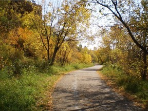 Edmonton's river valley trails are wonderful, says a Journal letter writer, but need to be better maintained.