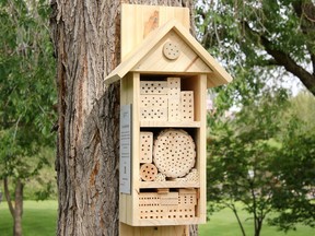 A bee hotel installed on the Muttart Conservatory grounds by EALT.