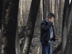 Fort McMurray First Nation Chief Ron Kreutzer surveys the wildfire damage on the Clearwater Reserve portion of the Fort McMurray First Nation, east of Fort McMurray Alta. on Thursday June 2, 2016. The area housed several trapper cabins of members from the first nation that were destroyed in the Fort McMurray wildfire. Photo by David Bloom   Postmedia wildfires wildfire