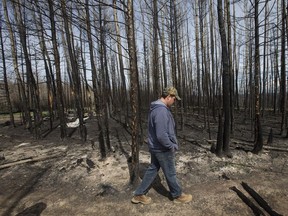 Les Kreutzer surveys the wildfire damage on the Clearwater Reserve portion of the Fort McMurray First Nation, east of Fort McMurray Alta. on Thursday June 2, 2016.