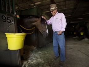 Rod Cone pats his registered thoroughbred Obde at the Northlands Park stables.