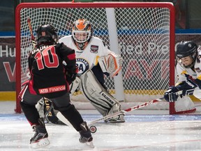 Team Brick Alberta's Cohen Daoust takes a shot on Pennsylvania goalie Cole Werthman while Landon Watson defends during the Brick 2016 Invitational Hockey Tournament at West Edmonton Mall on July 4, 2016.