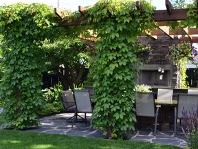 Debra and Jay McCallum’s backyard pergola stands over a stone fireplace and poured concrete dining table that seats 12.