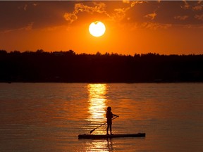 A stand-up paddle boarder takes an evening paddle at Pigeon Lake.