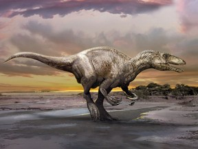 University of Alberta's Philip Currie, one of the world's most renowned vertebrate paleontologists, has been conducting fieldwork in Argentina for the past two decades and he, along with Argentinian colleague Rodolfo Coria, found the skeleton of murusraptor barrosaensis in 2000 in Sierra Barrosa.