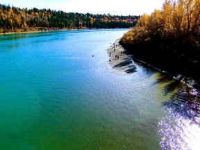 Buena Vista Park's off-leash area is a popular spot in Edmonton's river valley, and one of the highlights of the Laurier Heights neighbourhood.