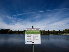 A sign warns people to stay out of the water in Hawrelak Park due to a blue-green algae bloom on Monday, Aug. 29, 2016.