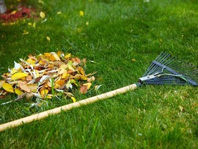 Fertilizing your lawn in the fall can help keep it healthy during winter hibernation.