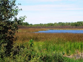 The Clifford E Lee Nature Sanctuary near Edmonton.