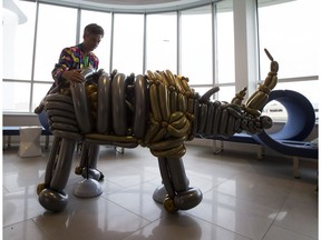 Balloon artist Glen LaValley installs a white rhino at the Renaissance Edmonton Airport Hotel on Aug. 24, 2016, to raise awareness of the plight of the animal as well as to raise funds for the Pilanesberg Wildlife Trust.