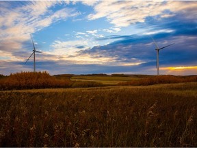 BluEarth Renewables' Bull Creek wind project is offsetting 100 per cent of the energy used by 500 Alberta schools.