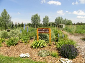 The Twin Brooks community garden in southwest Edmonton has brought local gardeners together.