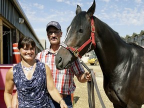 Trainers Amber Meyaard and Jim Meyaard prepare a horse named "Ready Intaglio" at Northlands Racetrack on Tuesday Aggust 16, 2016. The horse will be competing at The Canadian Derby at Northlands Racetrack in Edmonton on August 20, 2016.