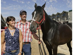 Trainers Amber Meyaard and Jim Meyaard prepare Ready Intaglio at Northlands Racetrack on Tuesday Aggust 16, 2016. The horse will be competing at The Canadian Derby at Northlands Racetrack in Edmonton on August 20, 2016.