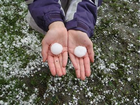 Hail from a thunderstorm near Millet, Alberta.