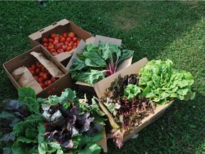 Produce from the Prairie Urban Farm is being made available at a new farmers' market, starting Thursday.