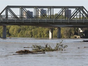 Debris flowed along the North Saskatchewan River near the Low Level Bridge last week as water levels rose.