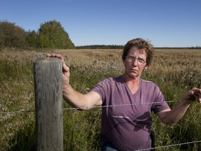 A 500 KV power line will go through Kim Trithart's farm. Her property is on the route of a $1.4-billion line between the Wabamun area and Fort McMurray which is set to start construction next year.