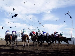 Horses leave the starting gate in a shower of mud during racing at Northlands Park.