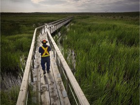 A worker walks on a catwalk over the Sandhills fen on the company's oilsands lease in this undated Syncrude handout image. Both Syncrude and Suncor say they are working to restore fens, a type of wetland, and while they've had some early success, they're finding the work to be a tricky business.