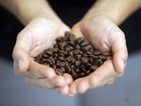 Barista Eviana Dan holds espresso beans at Millcreek Coffee Roasters during National Coffee Day, Tuesday, Sept. 29, 2015, in Salt Lake City.