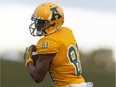 Golden Bears wide receiver Tylor Henry makes a catch as the University of Alberta Golden Bears play the Saskatchewan Huskies at Foote Field in Edmonton, Alberta on Friday, September 9, 2016.