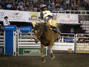Dustin Flundra takes part in the first go-round of the Saddle Bronc competition at the Canadian Finals Rodeo at Northlands Coliseum, in Edmonton on Wednesday Nov. 9, 2016.