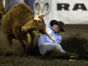 Steer Wrester Brendan Laye takes part in the second go-round of the Canadian Finals Rodeo at Northlands Coliseum, in Edmonton on Thursday Nov. 9, 2016.  Photo by David Bloom Photos off CFR for Friday, Nov. 11 publications.