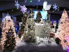 Christmas trees on display during the  Festival of Trees in 2014.