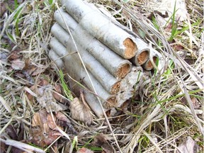 It's believed there is a large but unquantified amount of degraded and deteriorated dynamite on rural properties across Alberta, and RCMP are asking people to contact police if they discover any explosives on their property so that safe removal can be arranged.